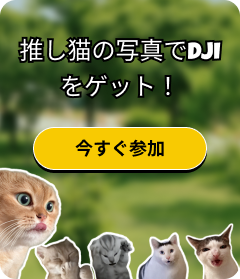 cat tax event