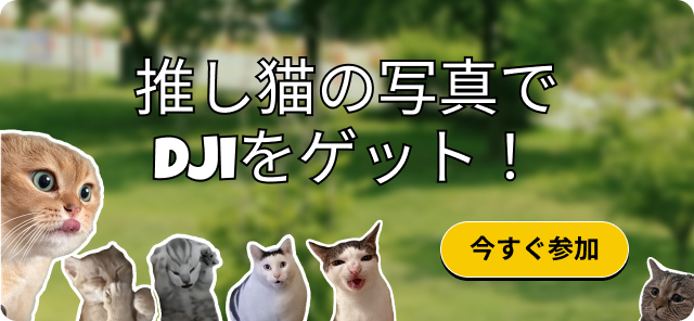 cat tax event