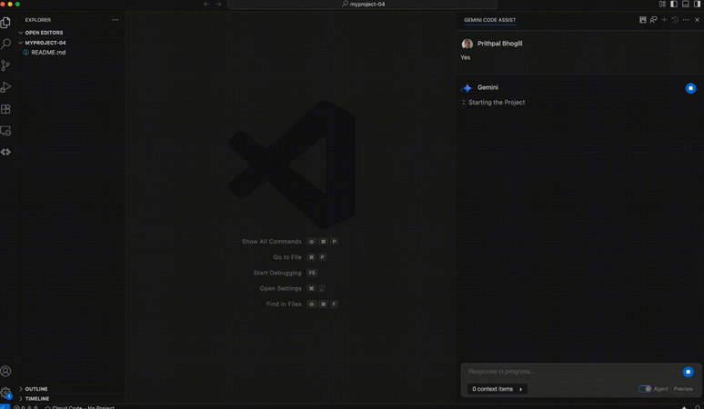 Gemini CLI