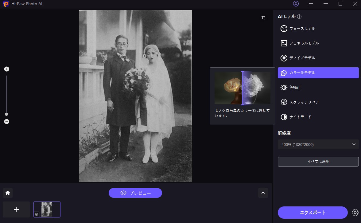 HitPaw Photo Enhancеrでカラー化モデル選定