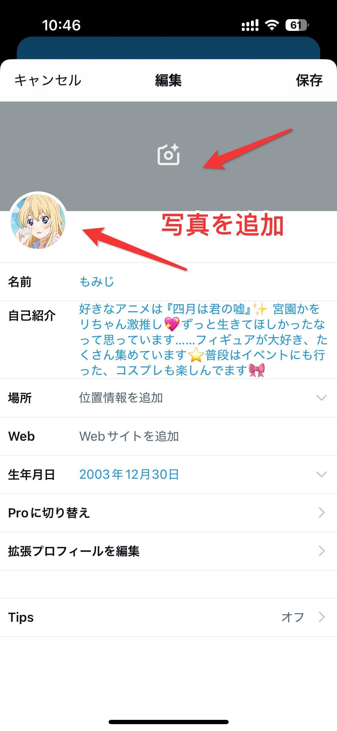 写真やイラストを使う