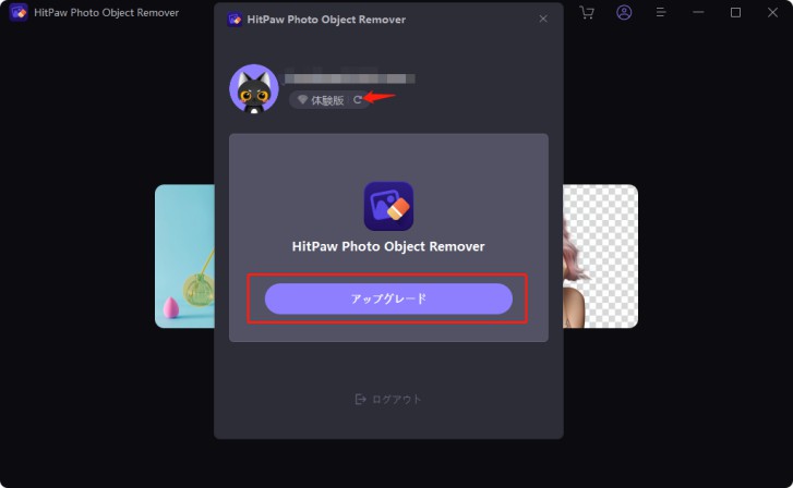 complete registration of HitPaw object remover