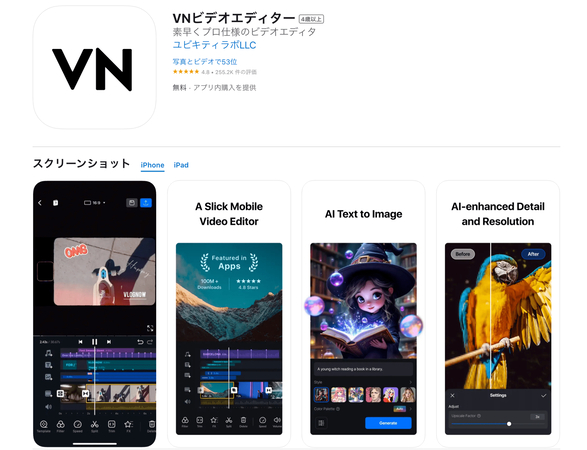 動画から人物を消せるツール