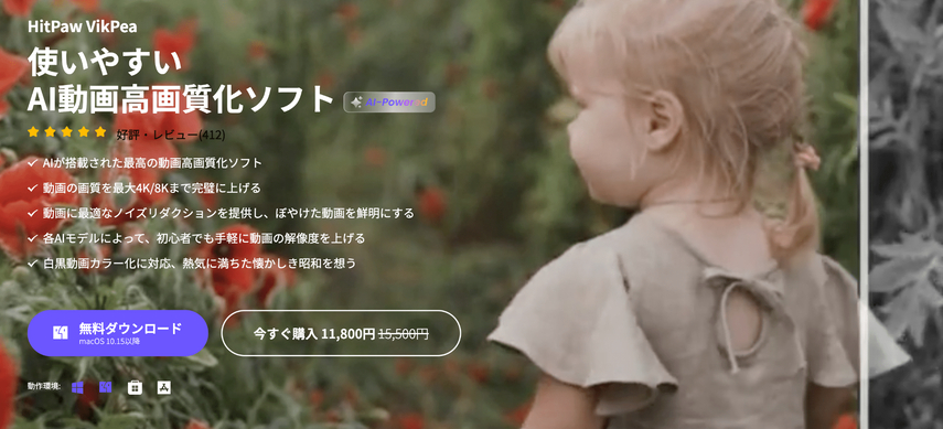 動画から人物を消せるツール