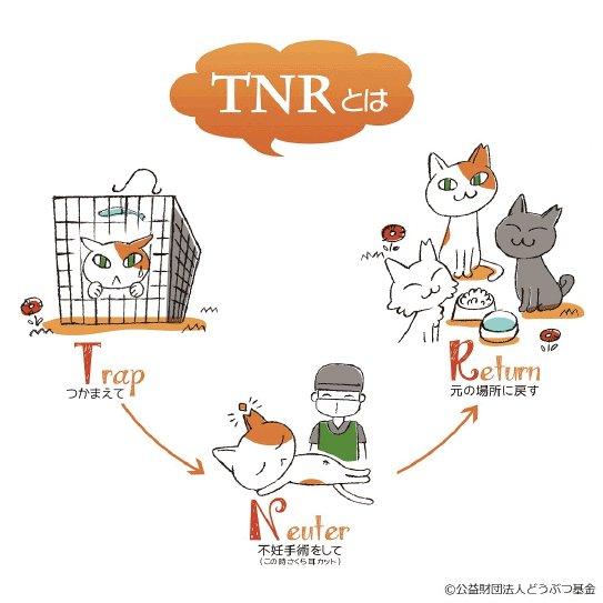 TNRとは