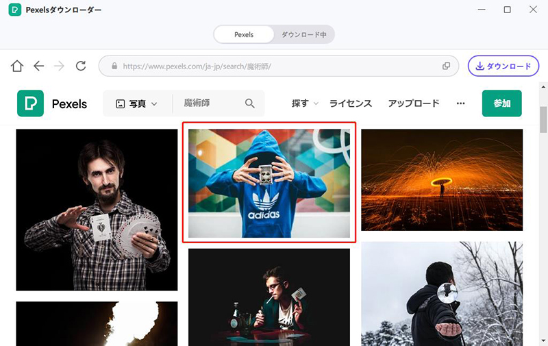 pexelsの写真を1枚選ぶ
