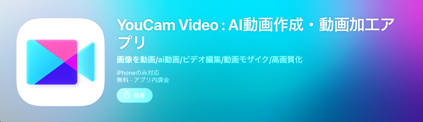 自動モザイクアプリ-YouCam Video