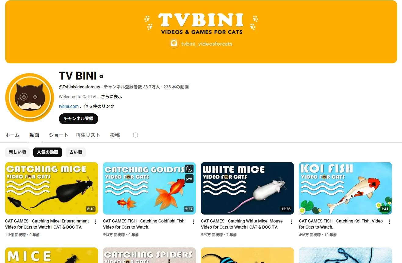 yutubeチャンネルーtv bini