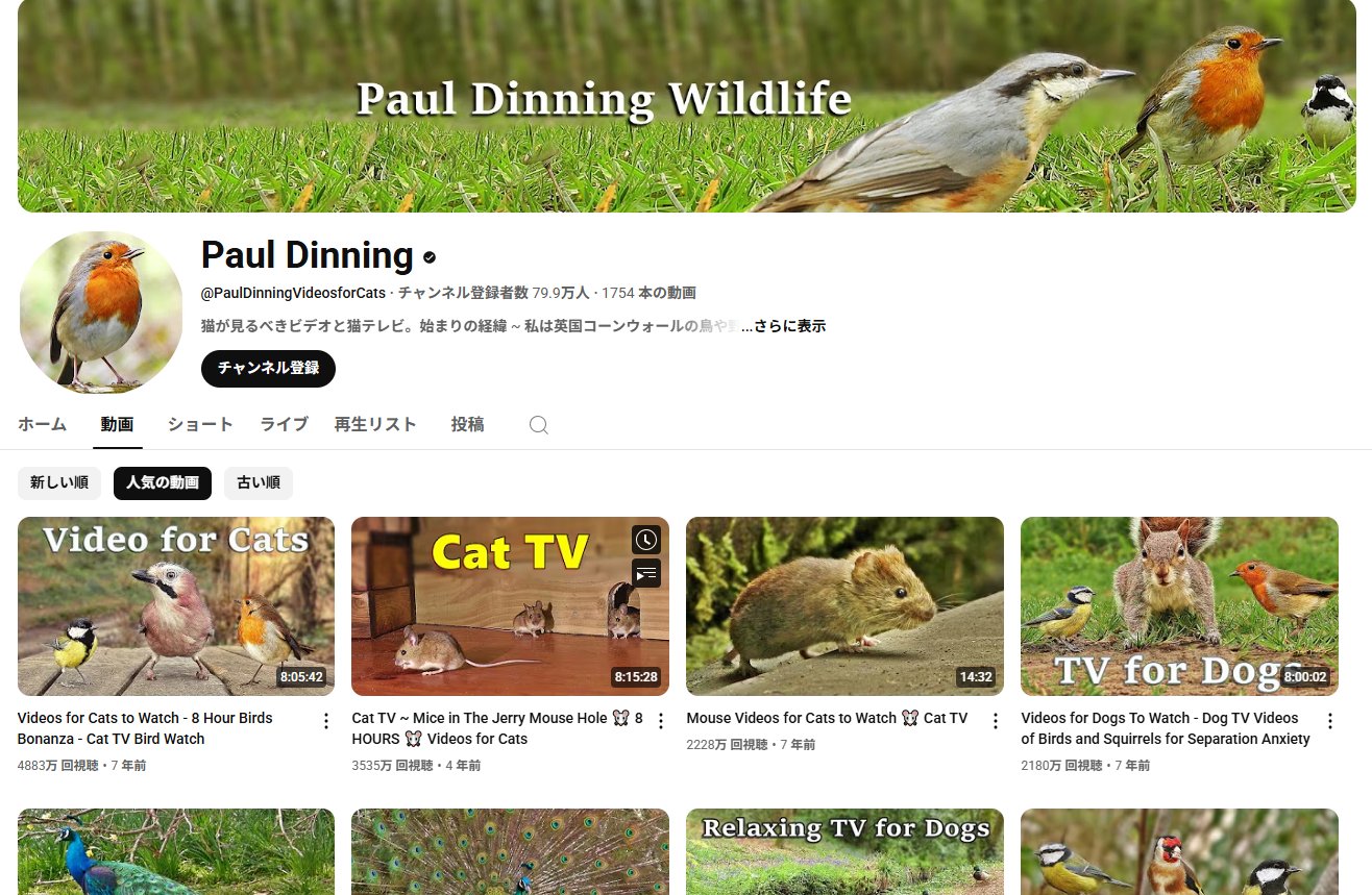 yutubeチャンネル-paul dinning