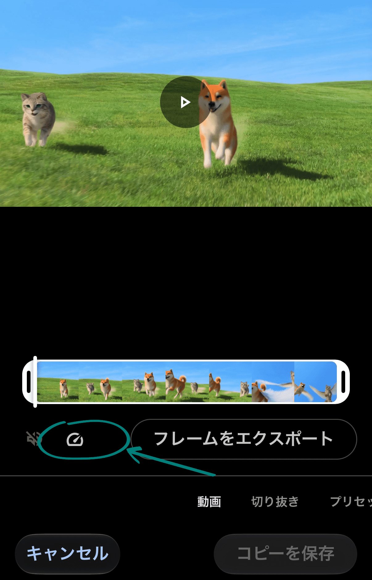 change-iphone-video-playback-speed-step-2