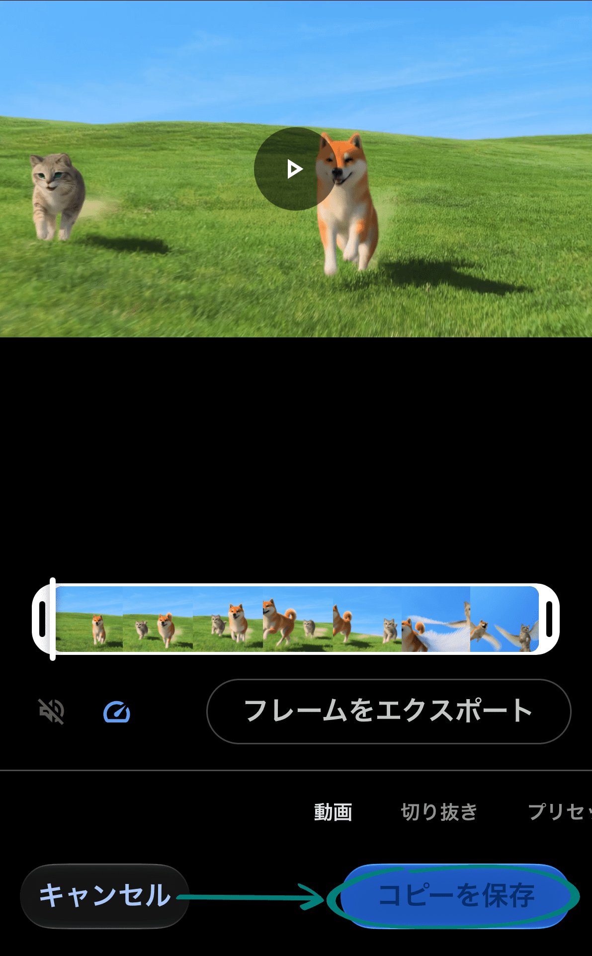 change-iphone-video-playback-speed-step-4