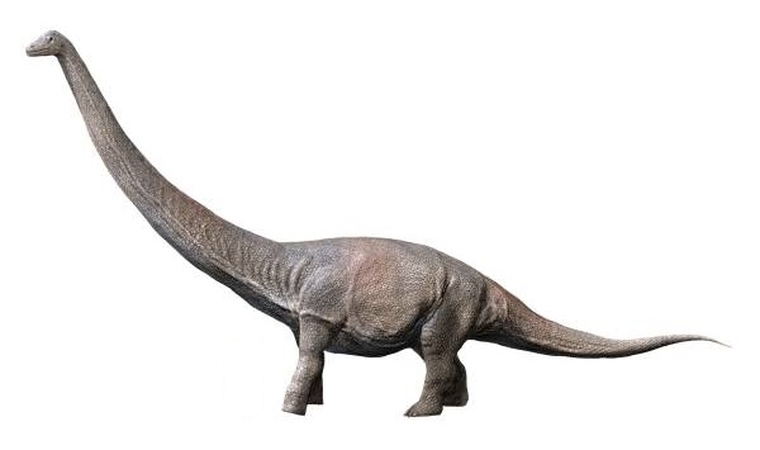 テリジノサウルス