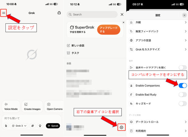 Grok Ani使用方法(再度ログイン)2