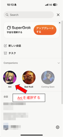 Grok Ani使用方法(再度ログイン)3