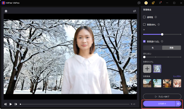 動画に雪を降らせる方法ーHitPaw VikPeaー3