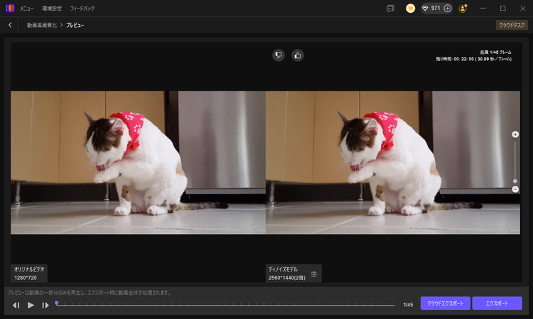 強化された猫の動画をプレビューしてエクスポート