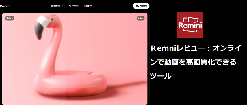 Reminiレビュー