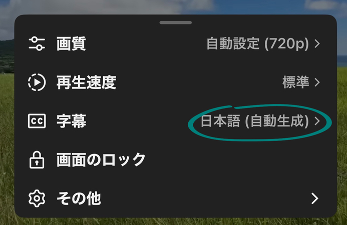Youtube動画の自動字幕ができない時の解決法その2