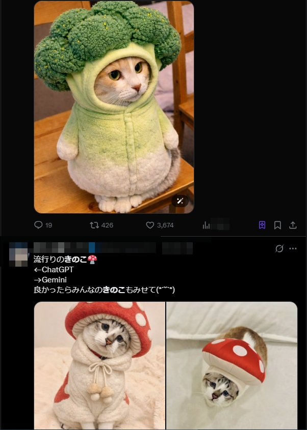 きのこ猫