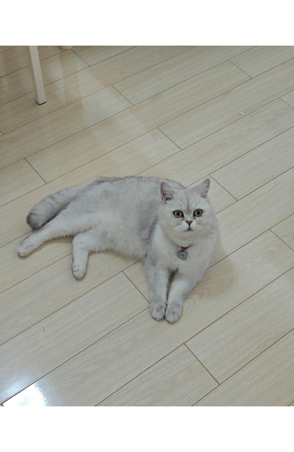 処理前
