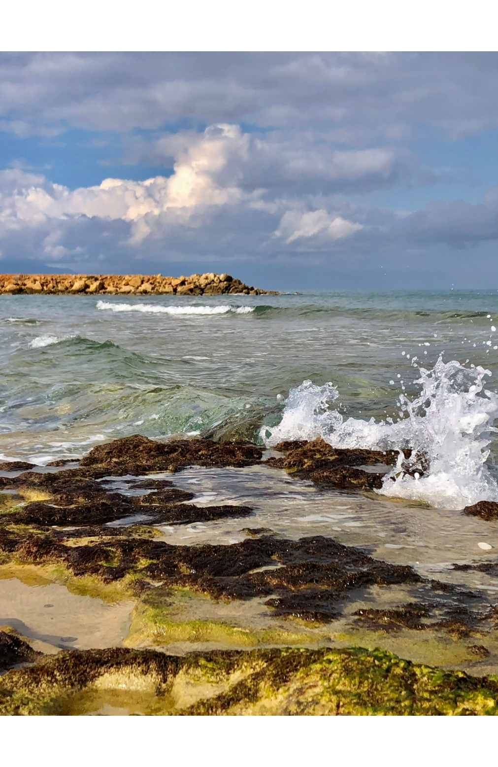 結果を確認