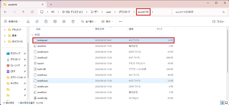 処理前後の動画を拡大する操作画面