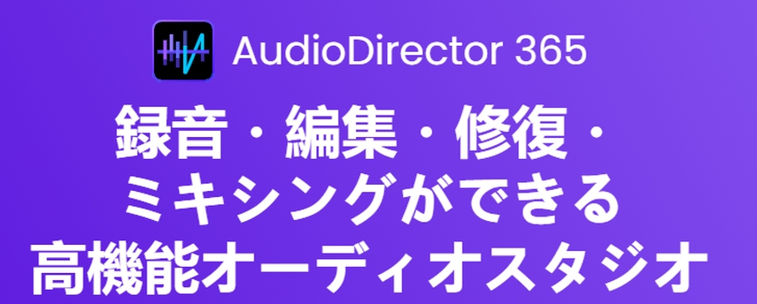 ボーカルリムーバー AudioDirector