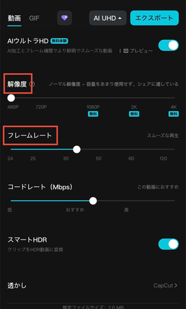 圧縮された動画をエクスポート