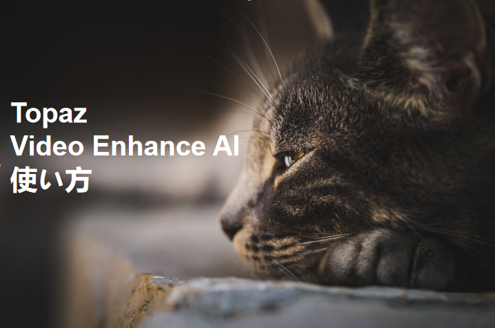 最新情報を公開！Topaz Video AIの使い方から推奨スペックまで