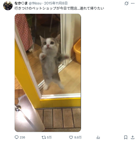 ハッピーハッピーハッピー猫gif
