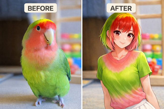 インコ　擬人化