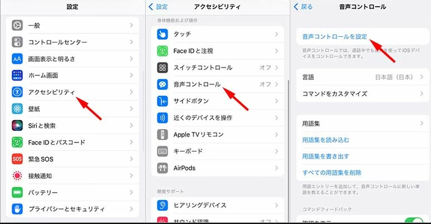 iPadで音声コントロールをオンにする時の画面キャプチャ
