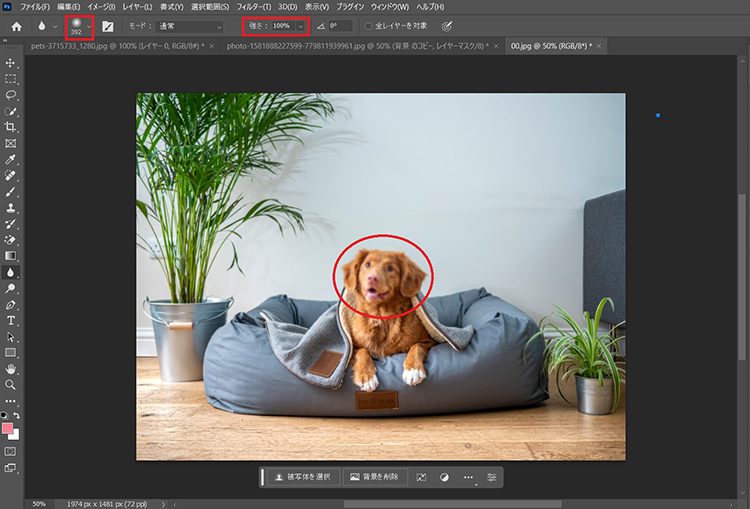 photoshop 画像 ぼかし