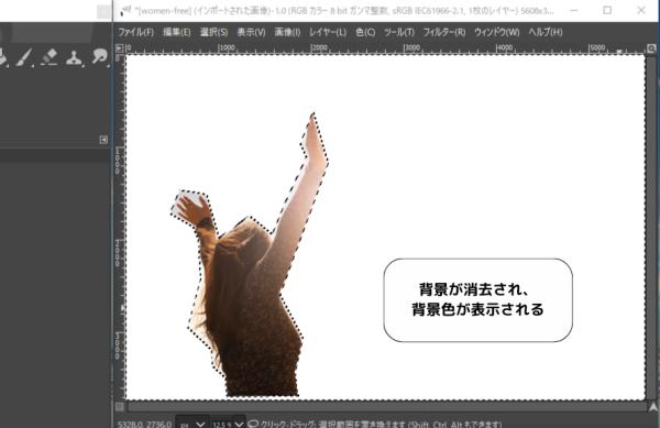 gimp 使い方 自由選択ツール