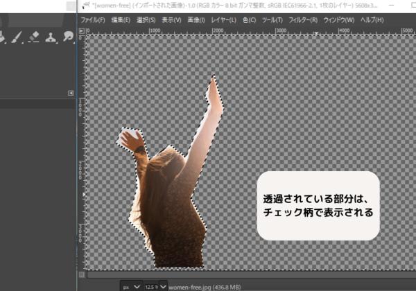 gimp 使い方 自由選択ツール