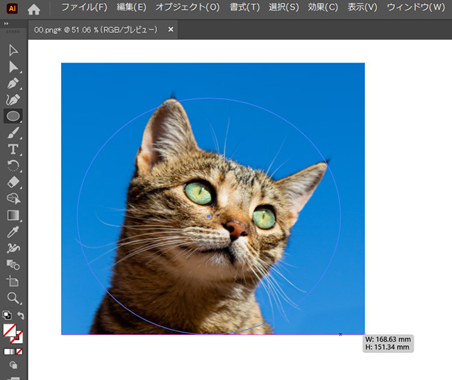 イラレ 切り抜き