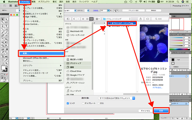イラレ トリミング
