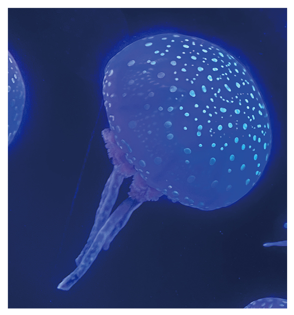 イラストレーター トリミング