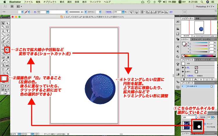 イラレ トリミング