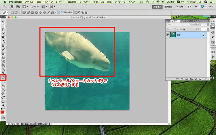 photoshop 背景 色 変更
