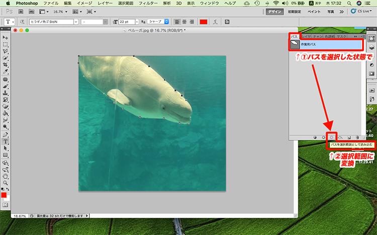 photoshop 背景 色 変更