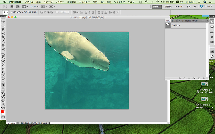 photoshop 背景 色 変更