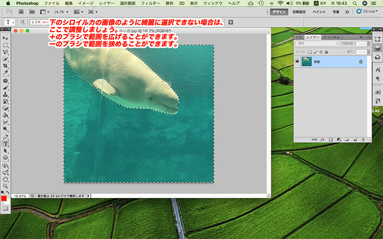 photoshop 背景 色 変更