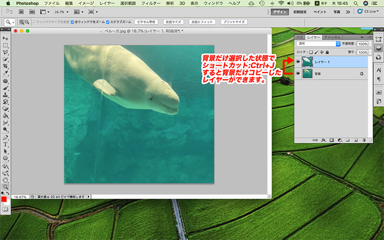 photoshop 背景 色 変更