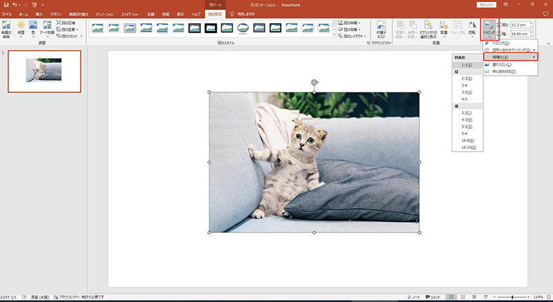 パワポ トリミング 比率