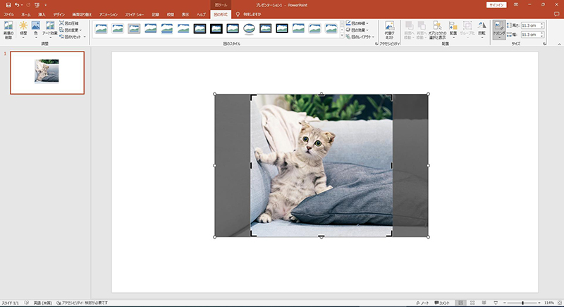 パワポ トリミング 比率