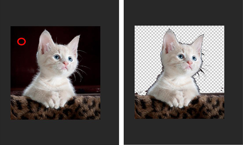 photoshop 背景 透明