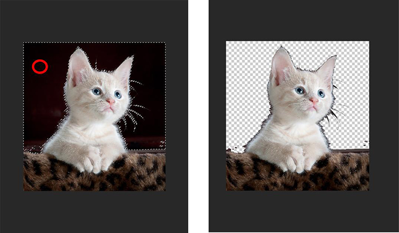 背景 透過 photoshop