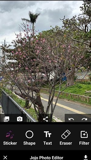 Jojo Photo Edito 写真を追加