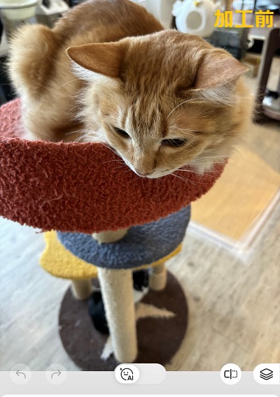 Beauty Plusでイラストにする前